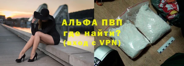 эйфоретик Баксан