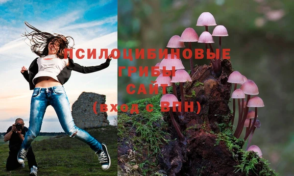 эйфоретик Баксан