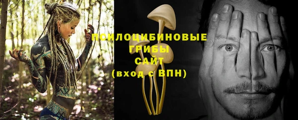 эйфоретик Баксан