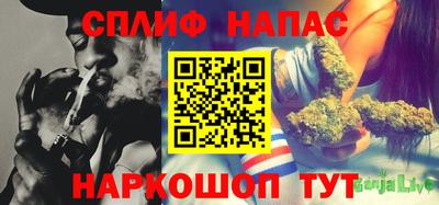 гашик Бузулук