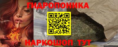 гашик Бузулук