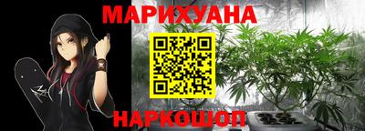 гашик Бузулук