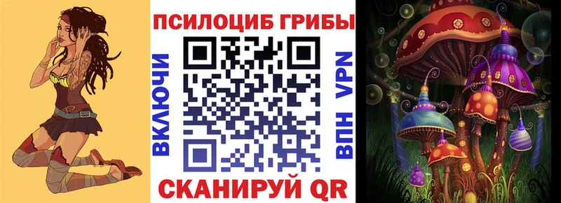 MEGA ССЫЛКА  Гатчина  Псилоцибиновые грибы Psilocybe 