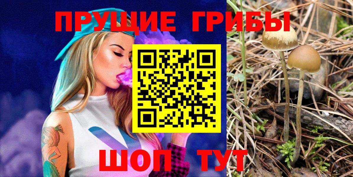 Гатчина  Галлюциногенные грибы MAGIC MUSHROOMS  Псилоцибиновые грибы мицелий  Вход с VPN 